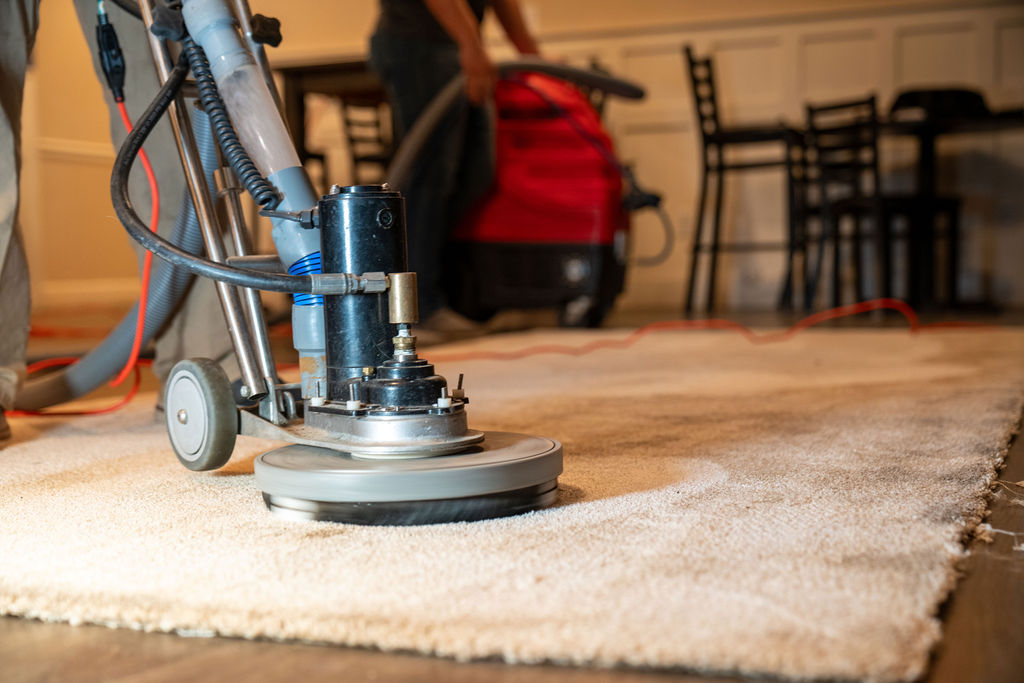 Carpet Cleaning by TruePro Clean